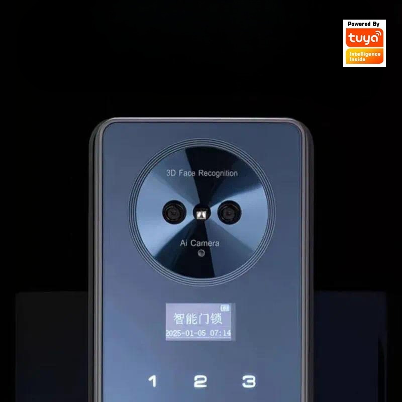 Serratura Intelligente con Ric - Video Door Lock With Camera Peephole recensione e prezzo