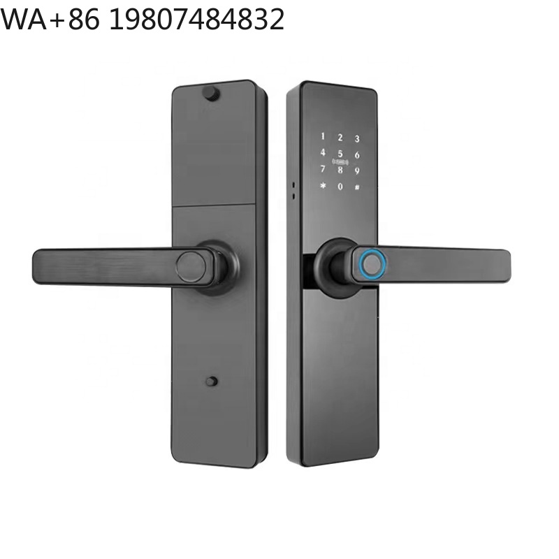 Serratura Elettronica per Port - Digital Door Lock Fingerprint Handle recensione e prezzo