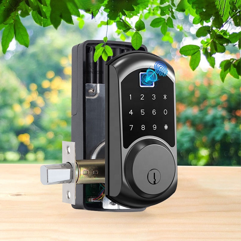 Codice cancello impermeabile S - Smart Door Lock Fingerprint Wifi recensione e prezzo