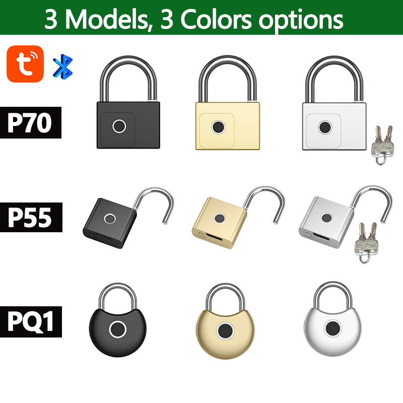 RAYKUBE Tuya Smart Lucchetto I - Fingerprint Padlock Weatherproof recensione e prezzo