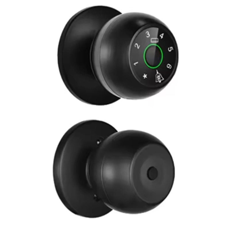 【ADD TO CART】 Tuya Bluetooth S - Digital Door Lock Fingerprint Handle recensione e prezzo