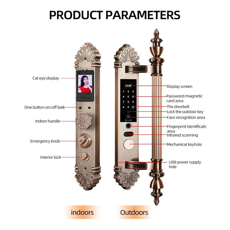 Riconoscimento facciale e impr - Face Recognition Door Lock recensione e prezzo
