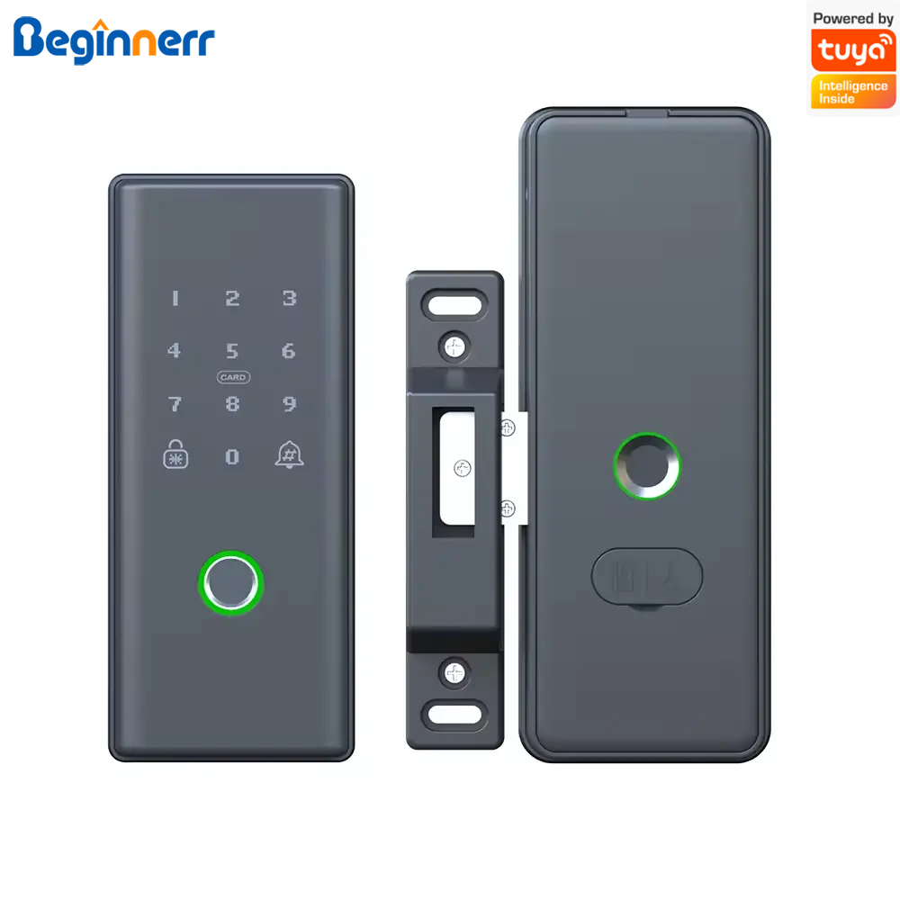 Serratura intelligente per por - Smart Rim Lock Wifi Fingerprint recensione e prezzo