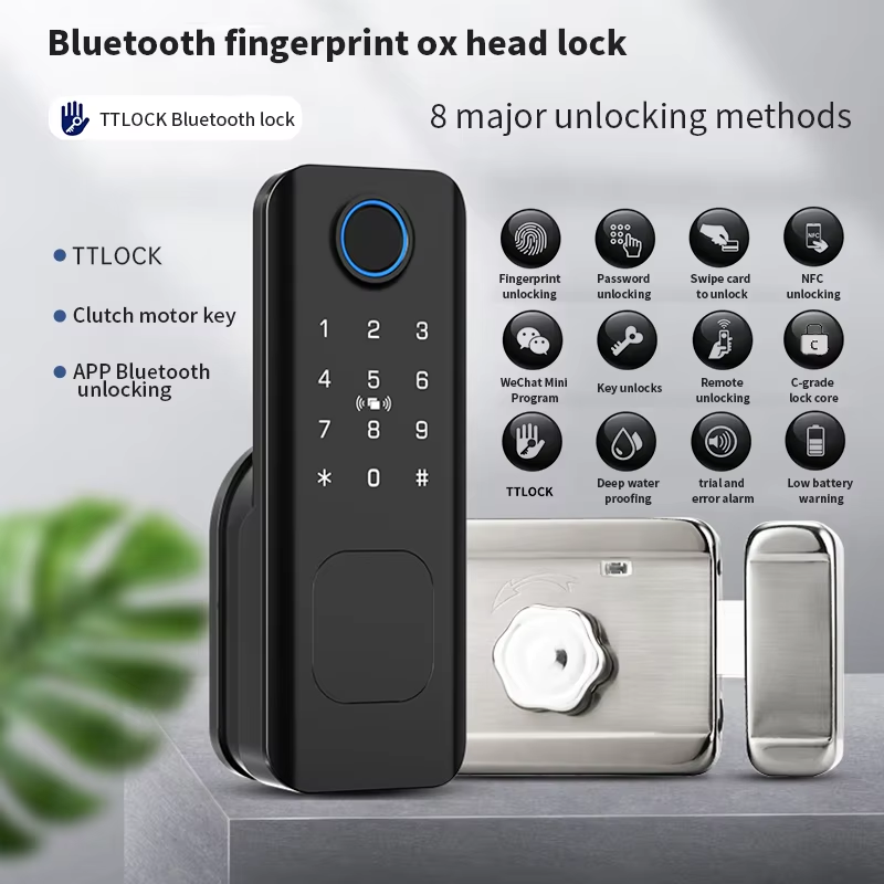 Serratura Digitale Intelligent - Smart Rim Lock Wifi Fingerprint recensione e prezzo