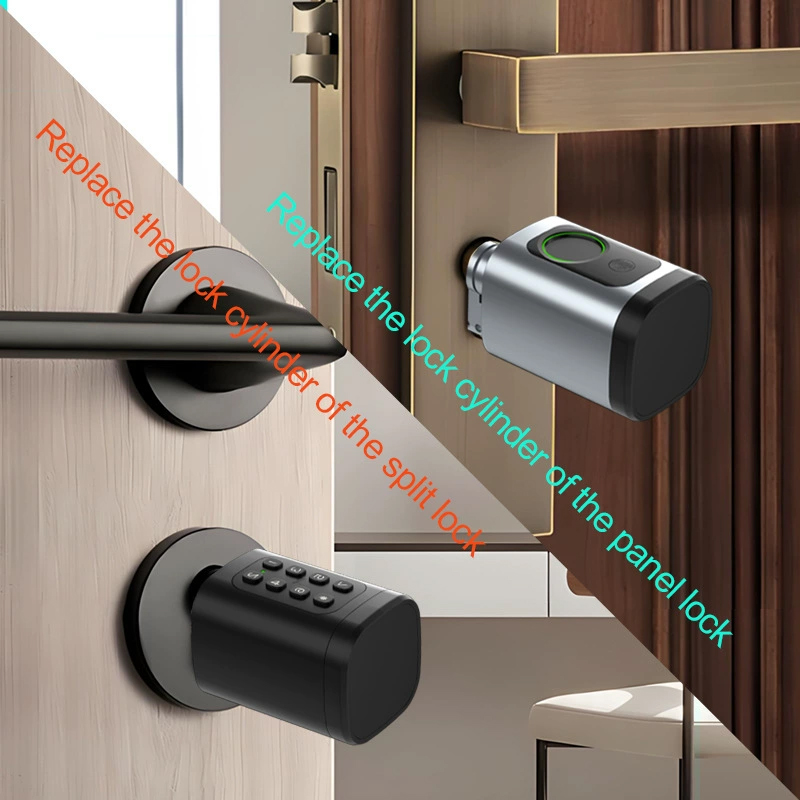 Serratura Digitale Intelligent - Smart Door Lock Tuya App recensione e prezzo