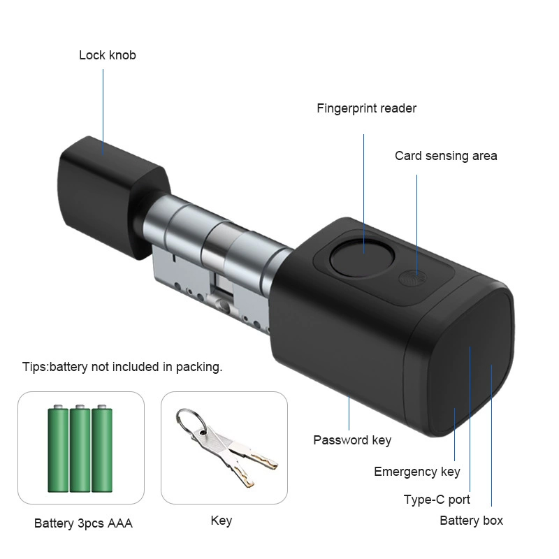 Serratura Digitale Intelligent - Smart Door Lock Tuya App recensione e prezzo