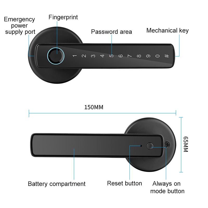 Tuya Smart Fingerprint Lock Bl - Digital Door Lock Fingerprint Handle recensione e prezzo