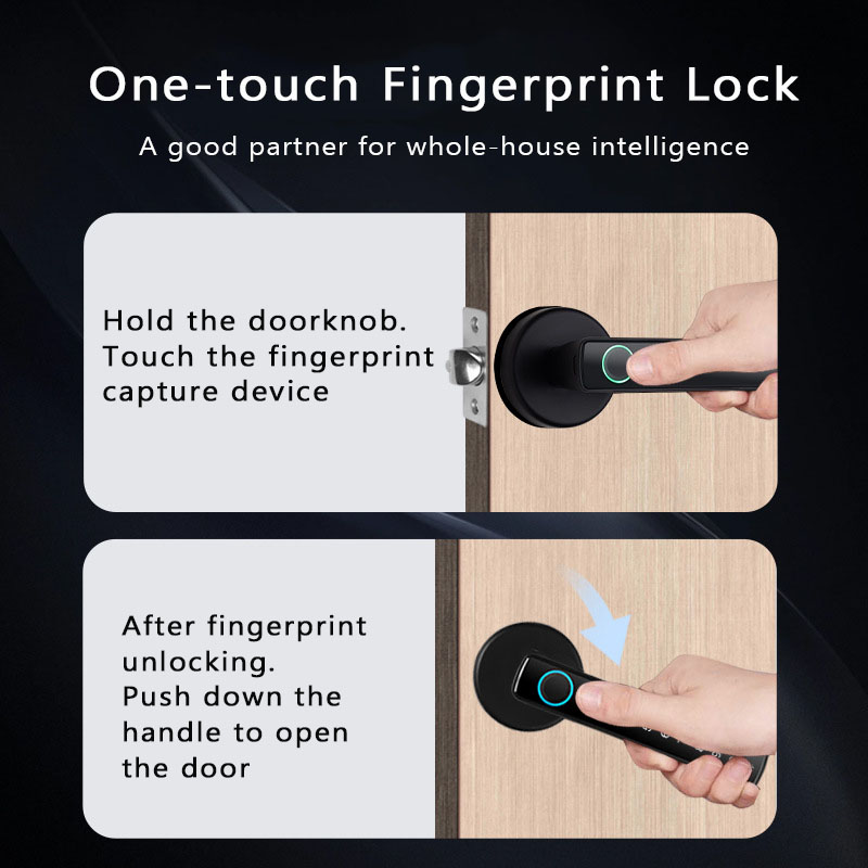 Tuya Smart Fingerprint Lock Bl - Digital Door Lock Fingerprint Handle recensione e prezzo