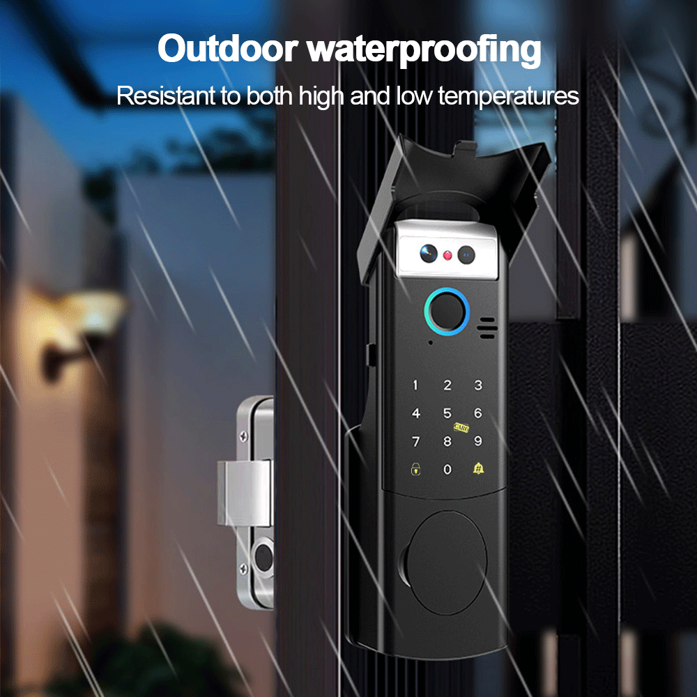 RAYKUBE V6/V8 Serratura Elettr - Face Recognition Door Lock recensione e prezzo