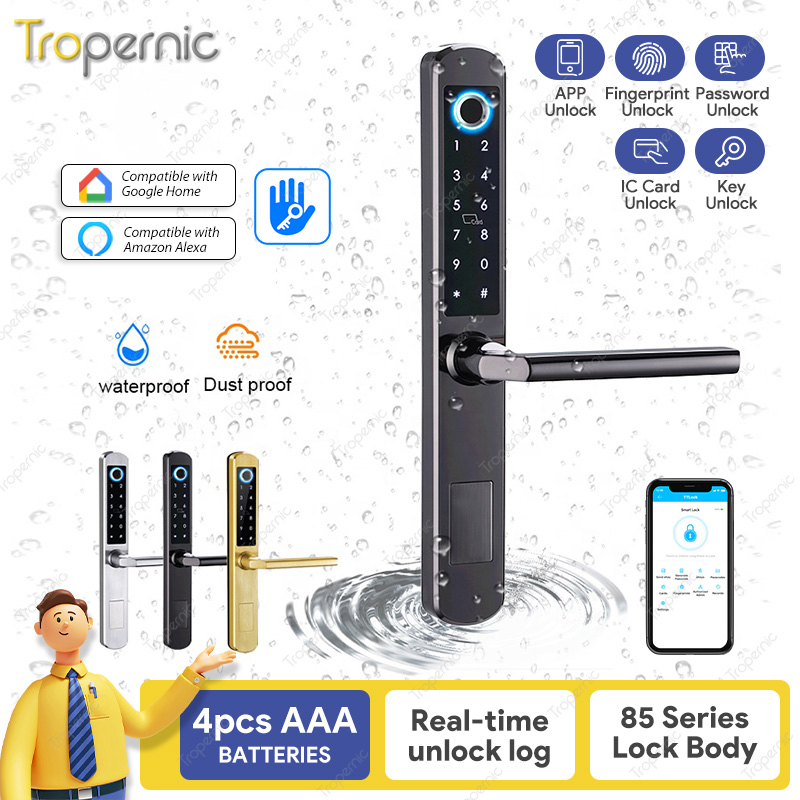 IP66 alluminio Patio porta sco - Digital Door Lock Fingerprint Handle recensione e prezzo
