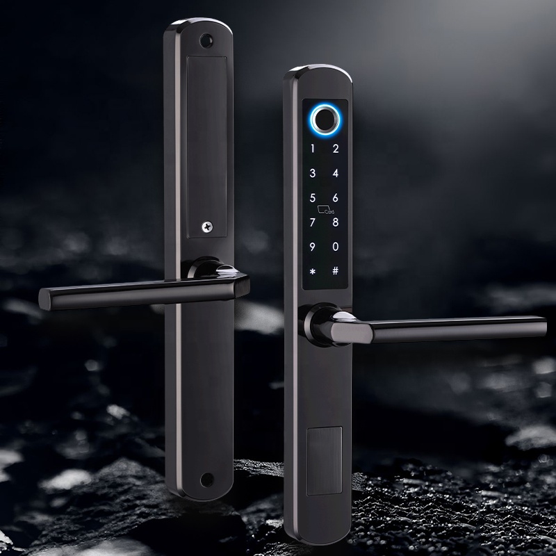 IP66 alluminio Patio porta sco - Digital Door Lock Fingerprint Handle recensione e prezzo