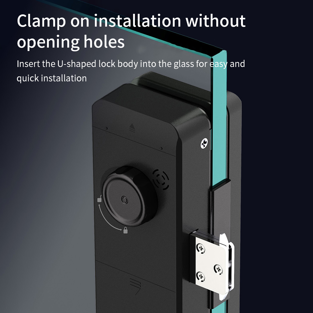Serratura intelligente per vet - Smart Door Lock Fingerprint Wifi recensione e prezzo