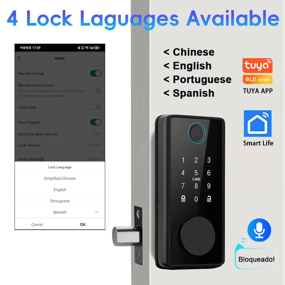 RAYKUBE DS01 serratura a caten - Smart Lock Deadbolt Keypad Bluetooth recensione e prezzo