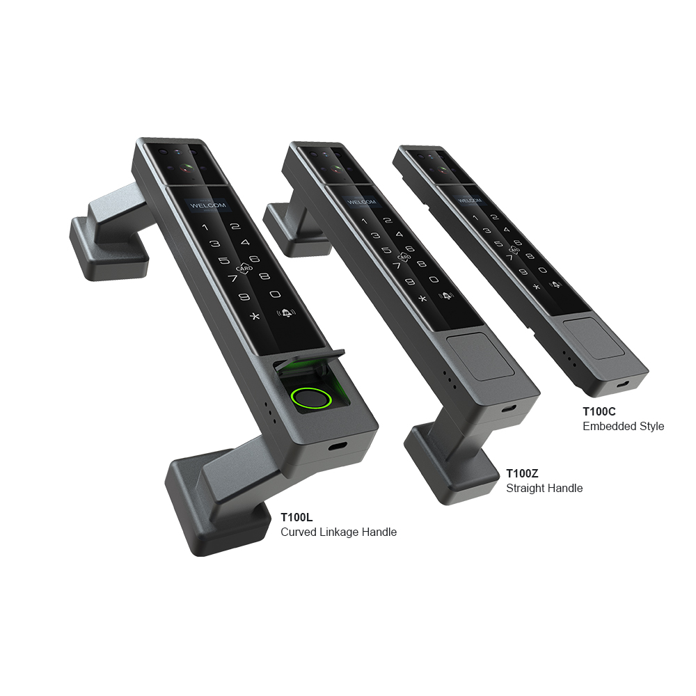 Serratura Intelligente Palm Ve - Smart Door Lock 3D Face Palm Vein recensione e prezzo