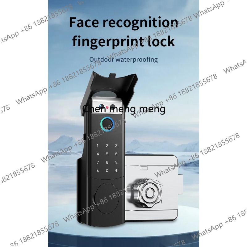 Serratura Elettronica Intellig - Smart Rim Lock Wifi Fingerprint recensione e prezzo