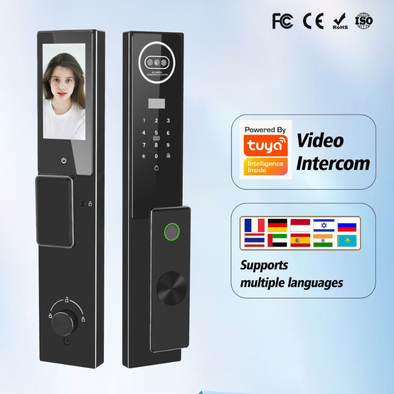Serratura Intelligente Tuya co - Video Door Lock With Camera Peephole recensione e prezzo