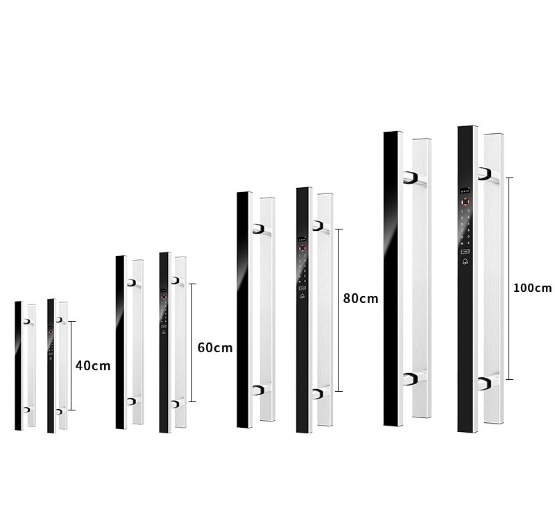 VIANS APP 80CM Serratura elett - Digital Door Lock Fingerprint Handle recensione e prezzo
