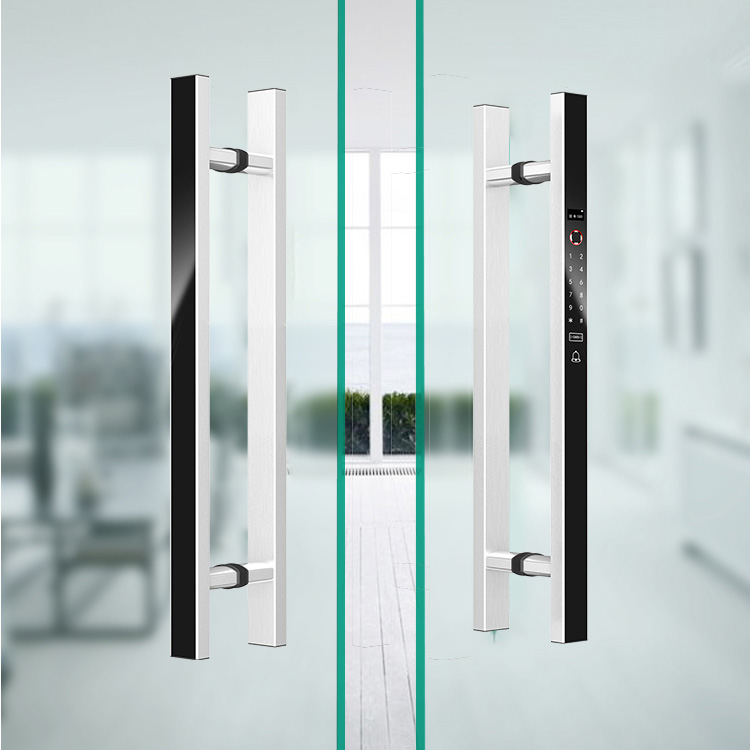 VIANS APP 80CM Serratura elett - Digital Door Lock Fingerprint Handle recensione e prezzo